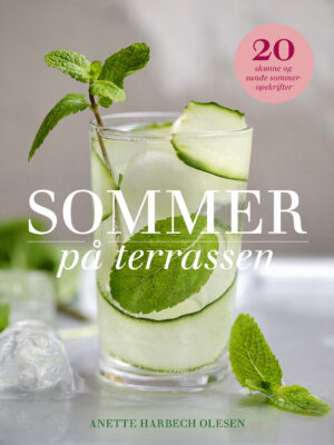 Sommer på terrassen (ebog)