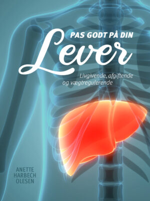 Pas godt på din lever (ebog)